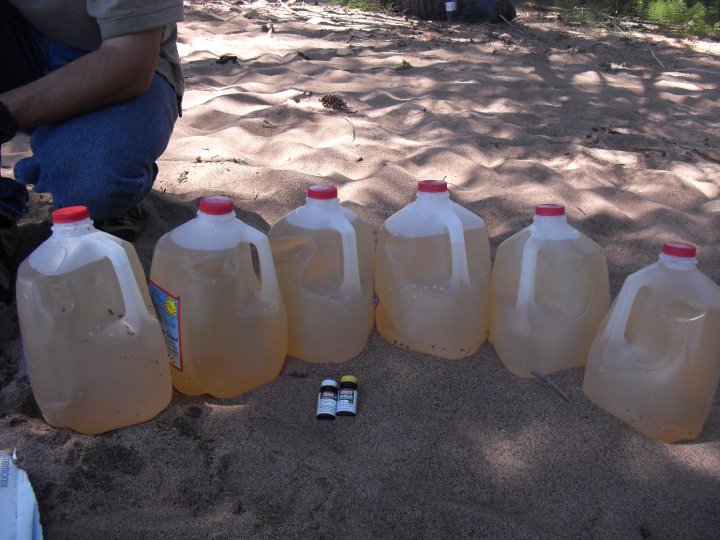 6 gallons of water sits on the sand, it is brownish in color because of the iodine tablets placed inside